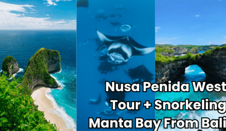 manta west nusa penida
