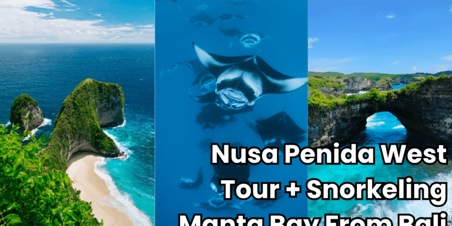 manta west nusa penida