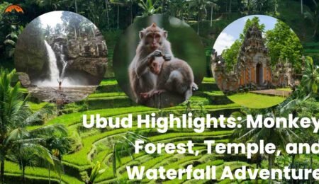 Ubud Highlight