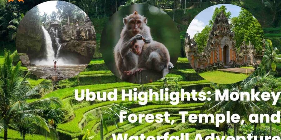 Ubud Highlight